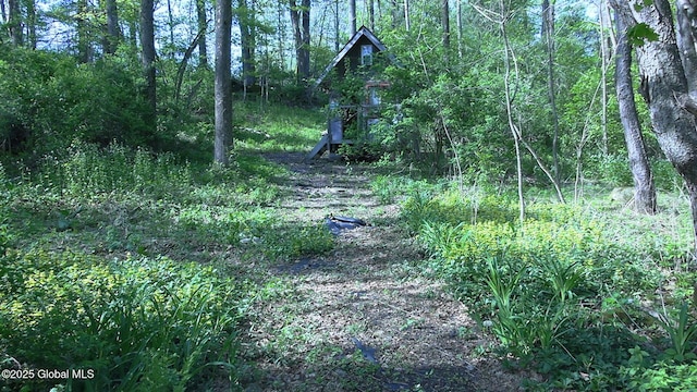 116 Dennie Rd, Mayfield, NY 12117 - view of wooded area