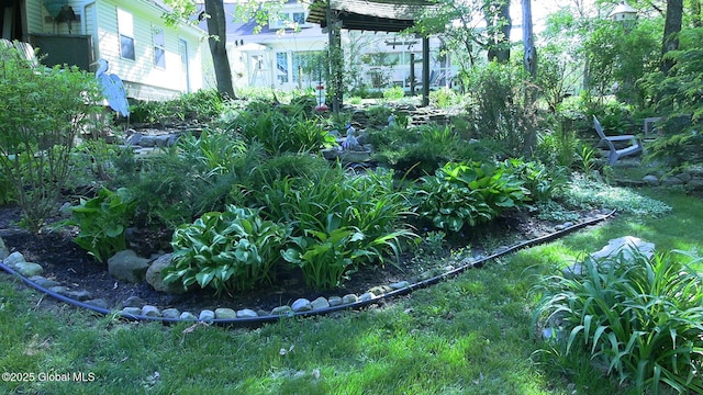 116 Dennie Rd, Mayfield, NY 12117 - view of yard