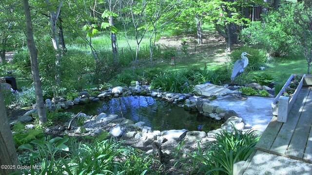 116 Dennie Rd, Mayfield, NY 12117 - view of local wilderness