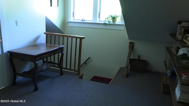 116 Dennie Rd, Mayfield, NY 12117 - stairs featuring carpet flooring