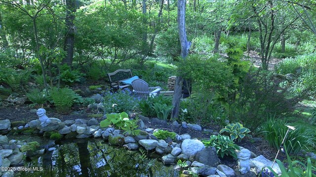 116 Dennie Rd, Mayfield, NY 12117 - view of yard
