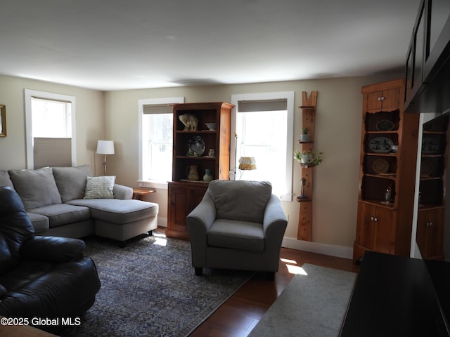 116 Dennie Rd, Mayfield, NY 12117 - living room with wood finished floors
