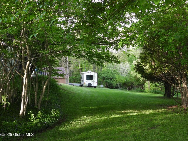 116 Dennie Rd, Mayfield, NY 12117 - view of green lawn