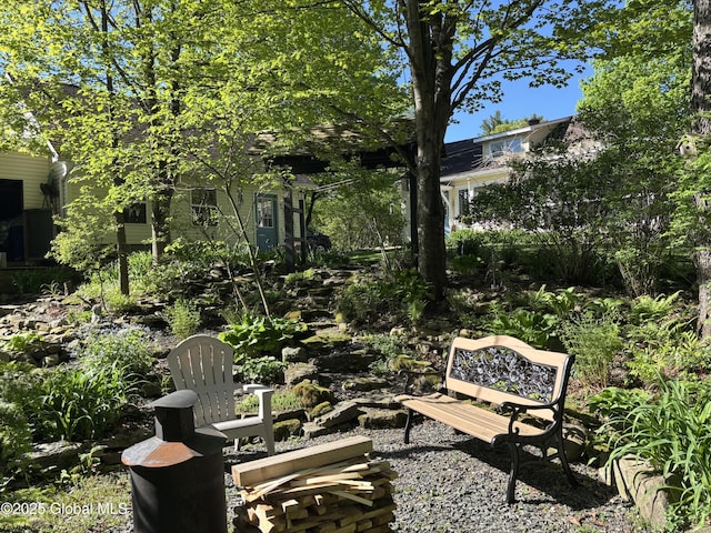 116 Dennie Rd, Mayfield, NY 12117 - view of yard