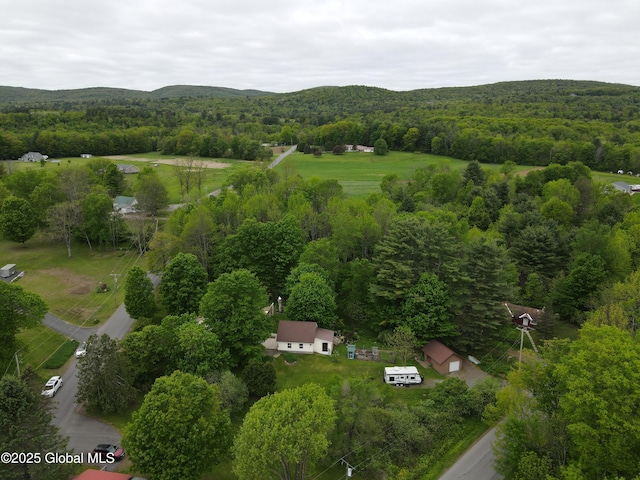 116 Dennie Rd, Mayfield, NY 12117 - drone / aerial view of a forest