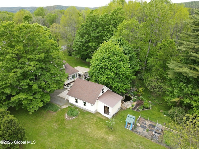 116 Dennie Rd, Mayfield, NY 12117 - view from above of property