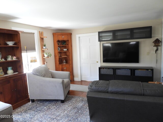 116 Dennie Rd, Mayfield, NY 12117 - living room featuring wood finished floors