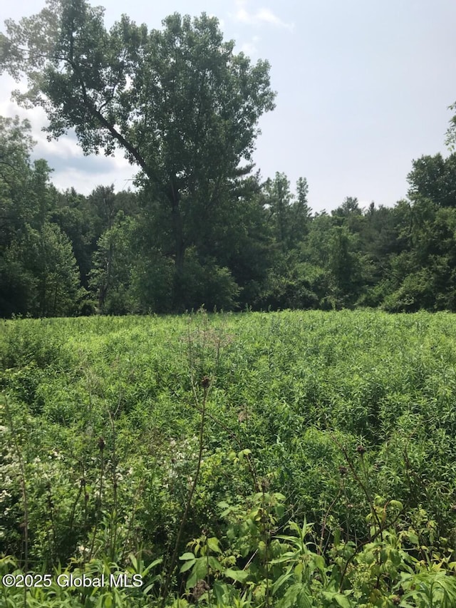 L8 Cady Rd, Chatham, NY 12037