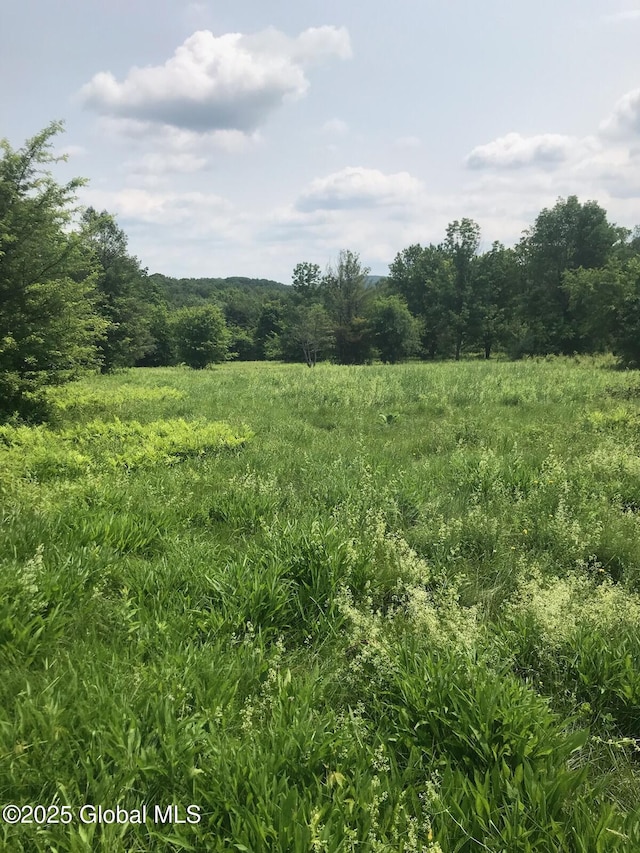 L8 Cady Rd, Chatham, NY 12037