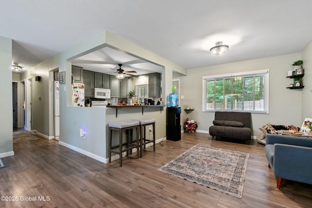 living area with wood finished floors, a ceiling fan, and baseboards