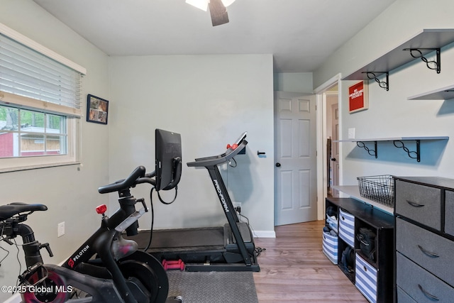 exercise area with wood finished floors and ceiling fan
