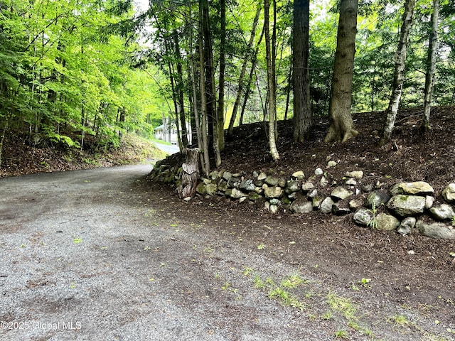 155 Bowen Hill Rd, Thurman, NY 12885 - view of yard with a view of trees