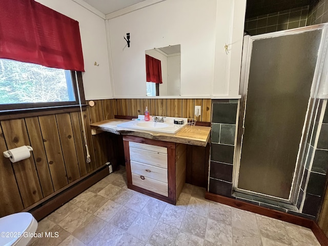 155 Bowen Hill Rd, Thurman, NY 12885 - bathroom featuring vanity, a stall shower, wood walls, toilet, and wainscoting