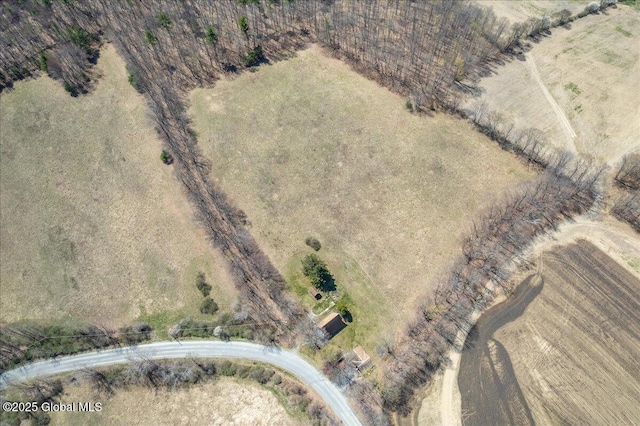 bird's eye view with a rural view