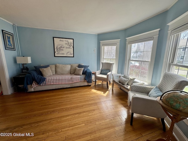47 Washington Rd, Scotia, NY 12302 - living area with light wood-style flooring and ornamental molding