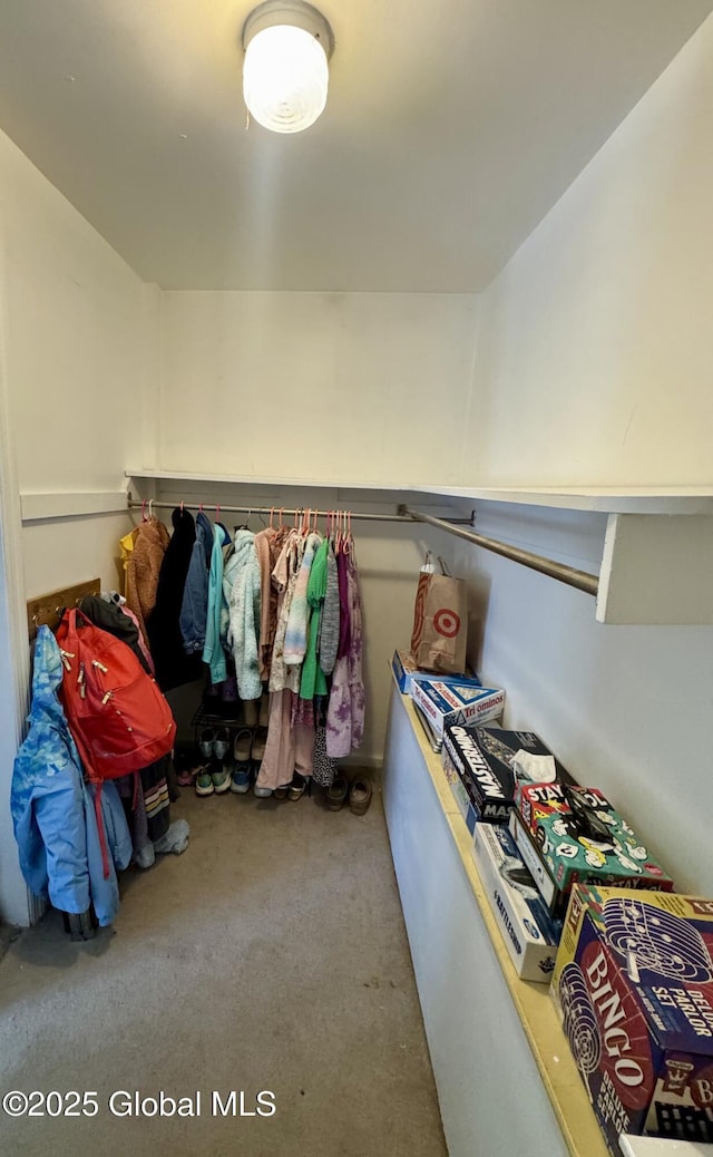 47 Washington Rd, Scotia, NY 12302 - walk in closet featuring carpet flooring