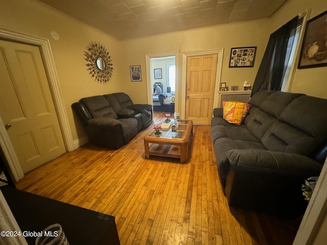 living room with crown molding and hardwood / wood-style floors