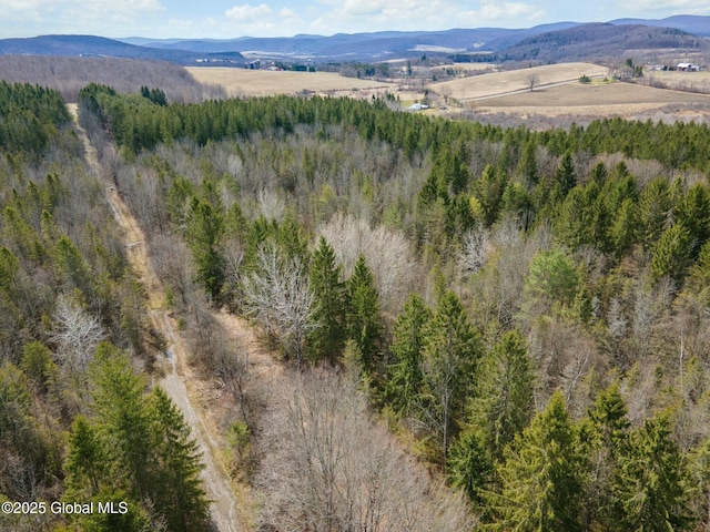 drone / aerial view with a mountain view