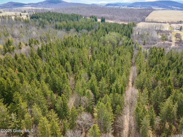 birds eye view of property with a wooded view and a mountain view