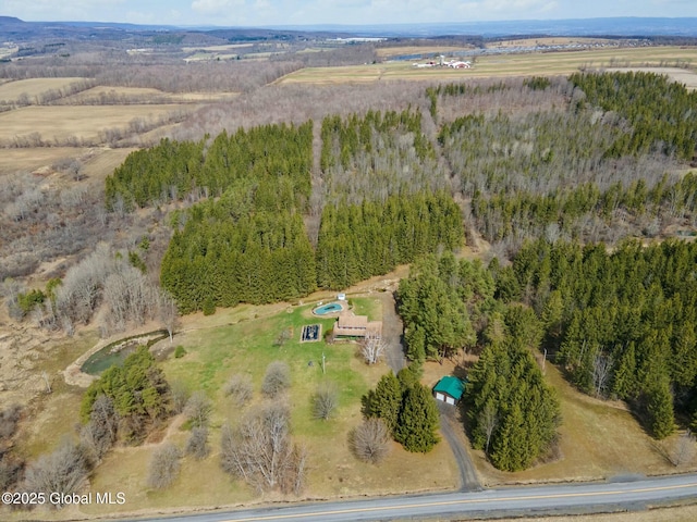 drone / aerial view featuring a rural view