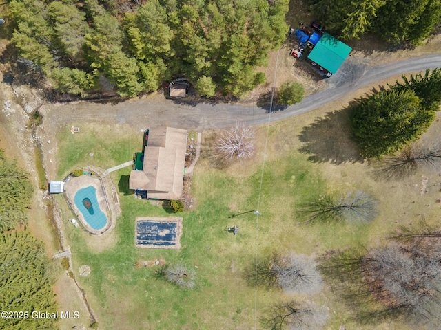bird's eye view