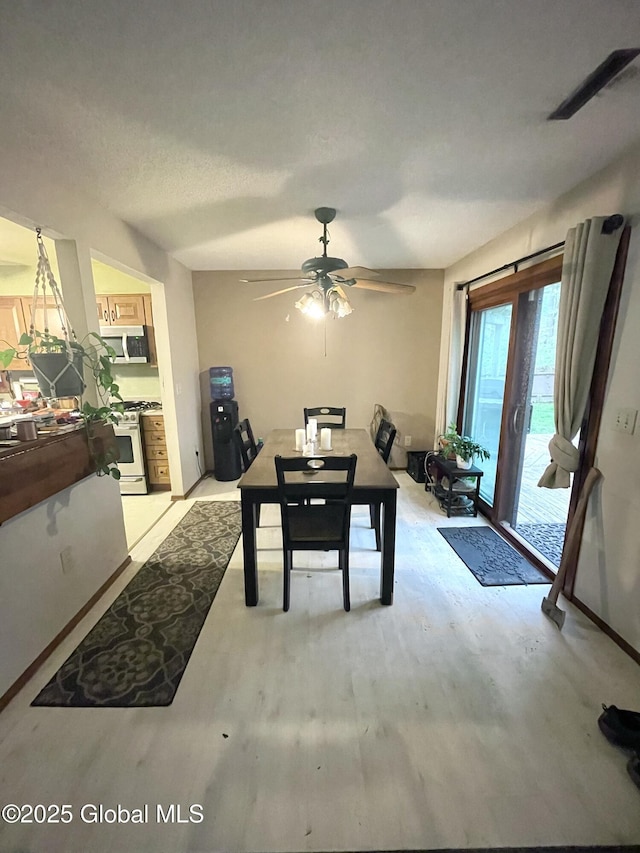 dining area with ceiling fan and light wood-type flooring