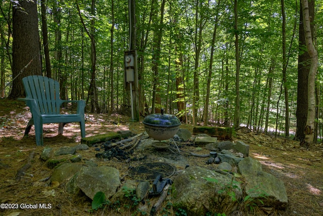 9 E Center St, Day, NY 12835 - view of yard with a forest view