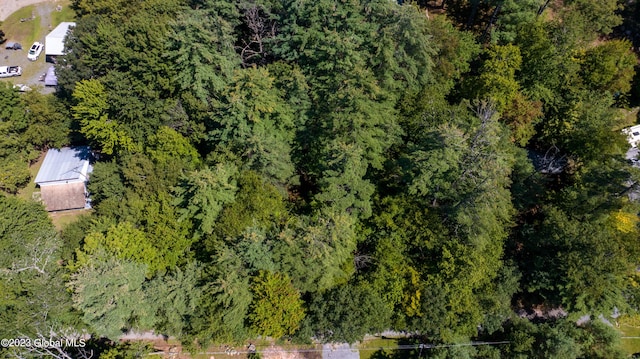 9 E Center St, Day, NY 12835 - aerial view with a view of trees