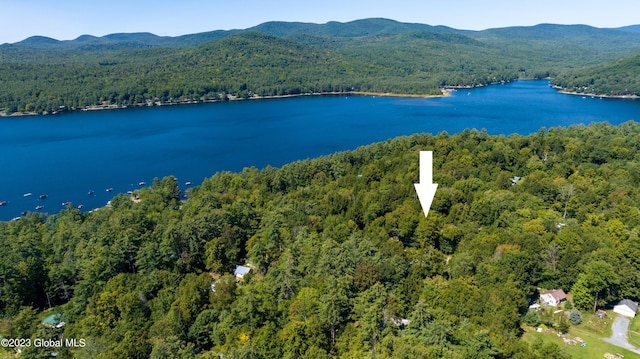 9 E Center St, Day, NY 12835 - birds eye view of property featuring a water and mountain view and a wooded view