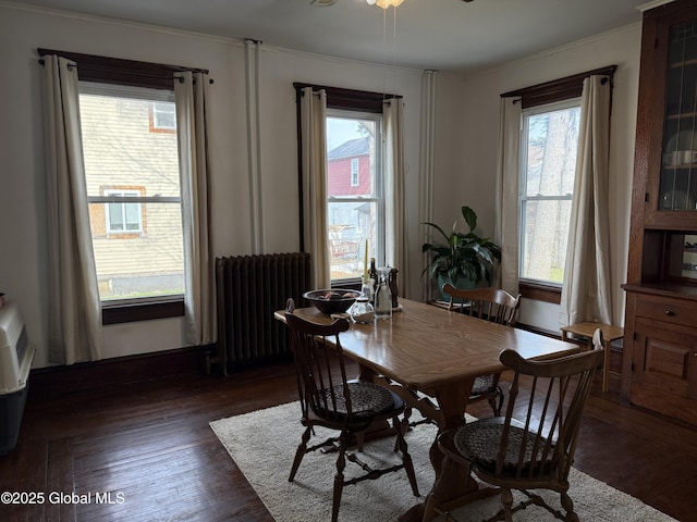 dining room with radiator, dark wood-style flooring, and crown molding