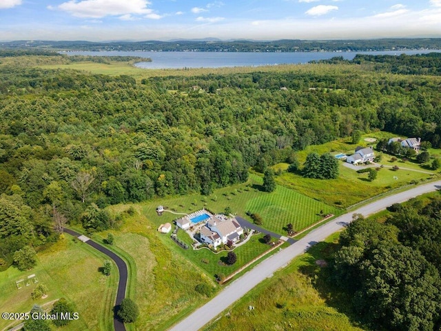 aerial view with a water view and a view of trees