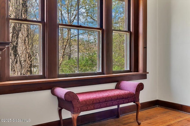 living area featuring a healthy amount of sunlight, baseboards, and wood finished floors