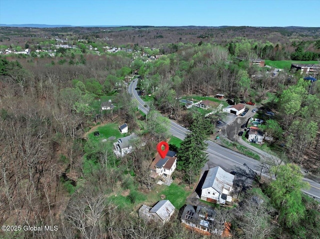 aerial view with a forest view