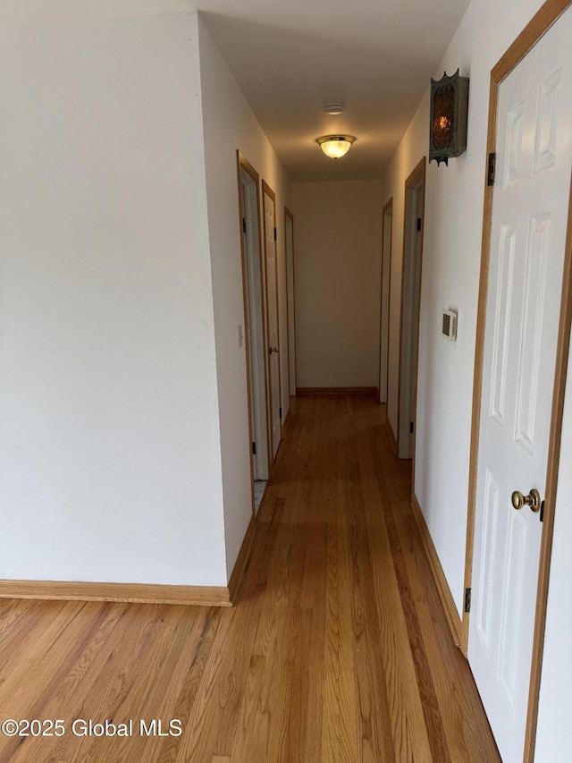 19 Callaghan Blvd, Charlton, NY 12019 - hallway with light wood-style floors and baseboards