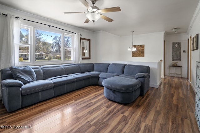 living area with a ceiling fan, ornamental molding, and dark wood-type flooring