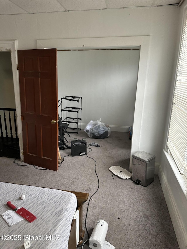 425 10th St, Troy, NY 12180 - carpeted bedroom with baseboards and a drop ceiling