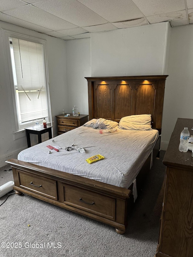 425 10th St, Troy, NY 12180 - carpeted bedroom with a paneled ceiling