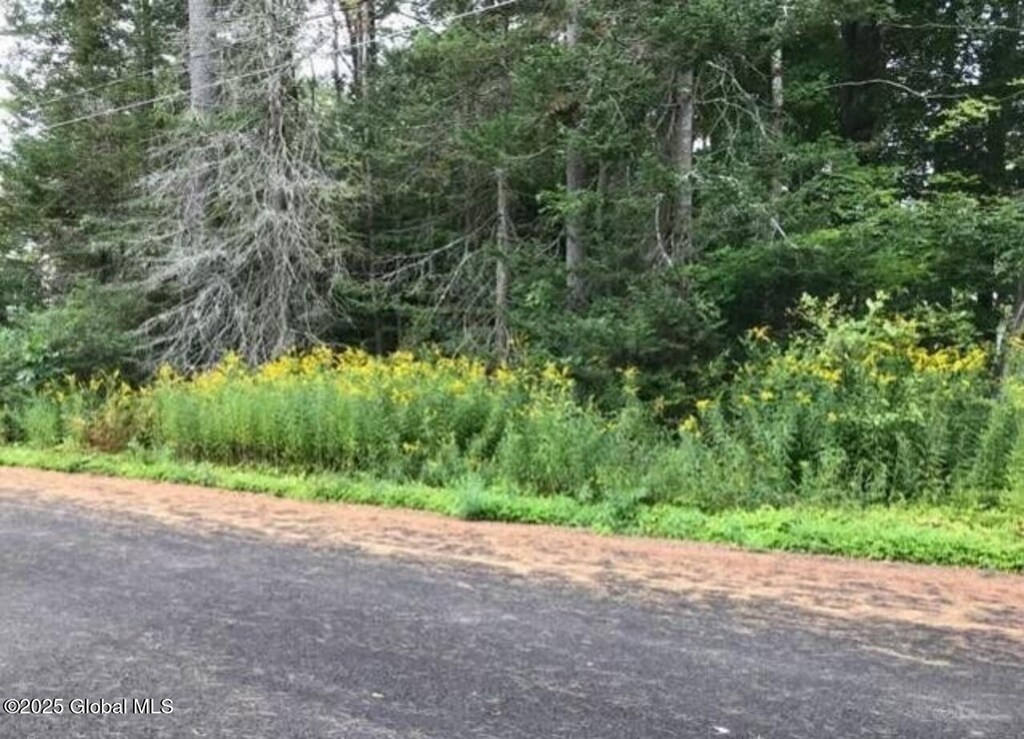 L20.5 Alderwood Park Rd, Caroga, NY 12032 - photo 2
