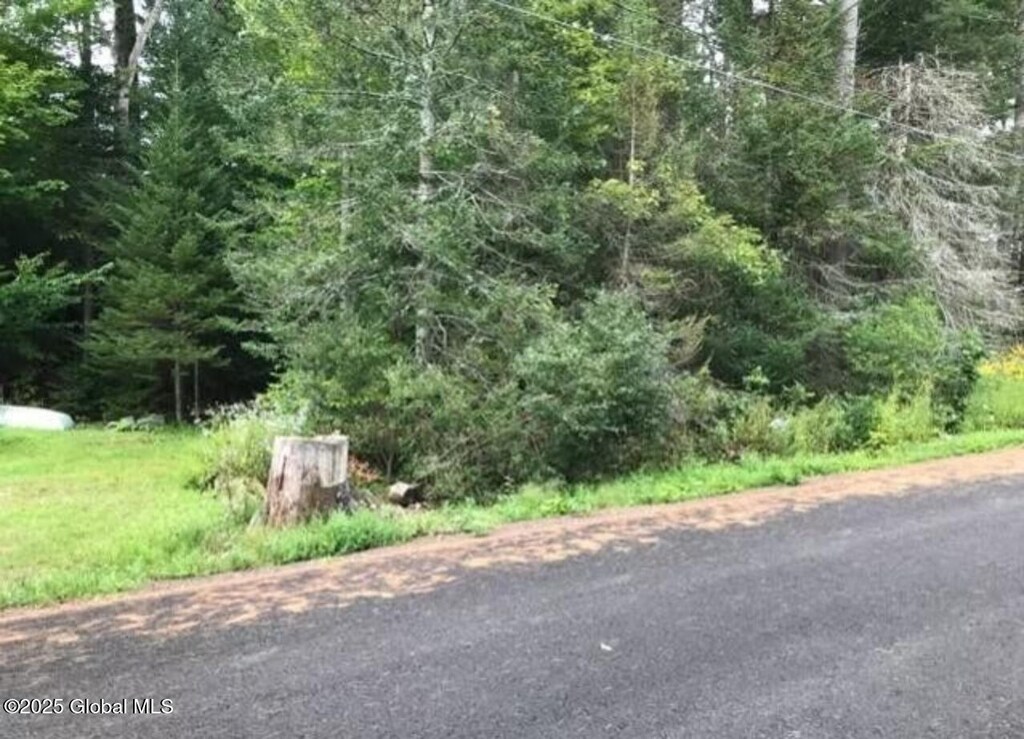 L20.5 Alderwood Park Rd, Caroga, NY 12032 - photo 3