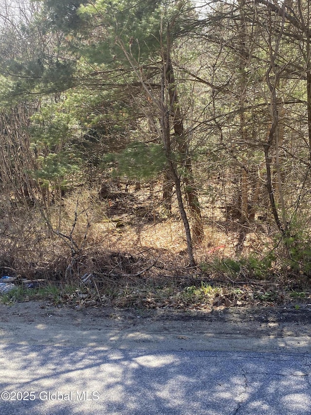 L27 Jenni Jill Dr, Warrensburg, NY 12885