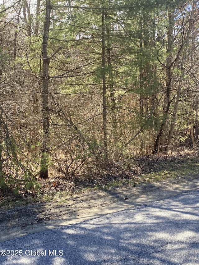 L27 Jenni Jill Dr, Warrensburg, NY 12885
