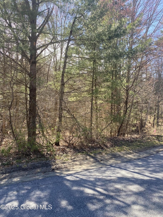 L27 Jenni Jill Dr, Warrensburg, NY 12885