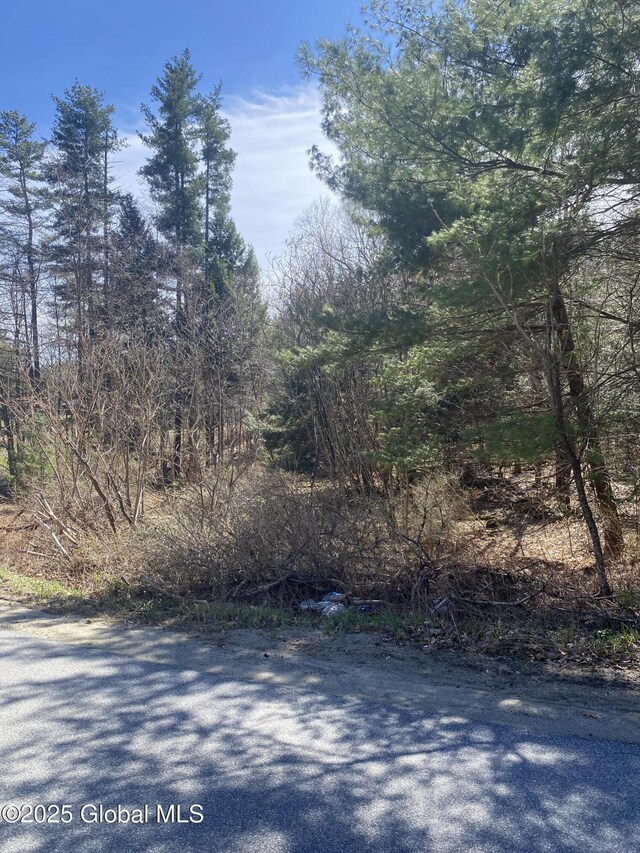 L27 Jenni Jill Dr, Warrensburg, NY 12885