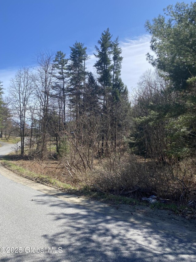 L27 Jenni Jill Dr, Warrensburg, NY 12885