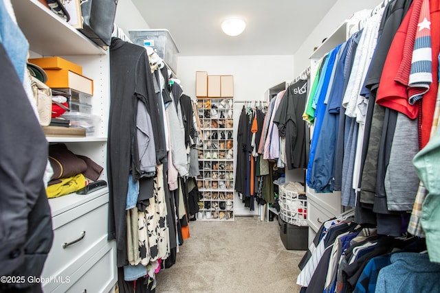walk in closet with carpet flooring