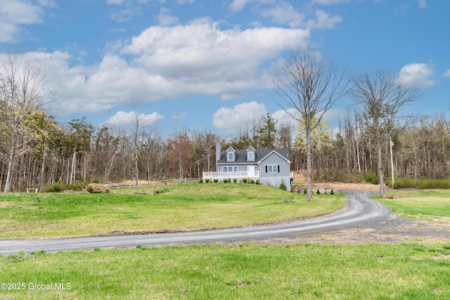 214 Vosenkill Rd, Athens, NY 12015 - view of front of house featuring driveway, a wooded view, and a front yard