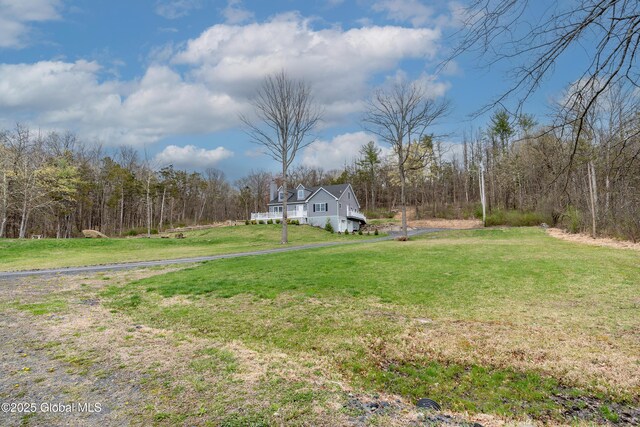 214 Vosenkill Rd, Athens, NY 12015 - view of yard with a wooded view