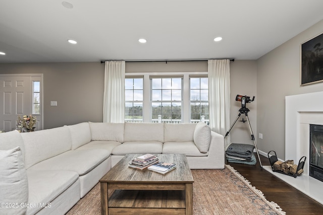 214 Vosenkill Rd, Athens, NY 12015 - living area featuring recessed lighting, a glass covered fireplace, wood finished floors, and plenty of natural light
