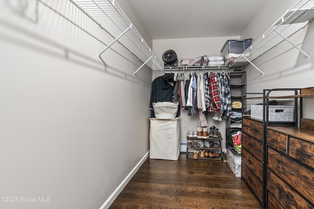 214 Vosenkill Rd, Athens, NY 12015 - spacious closet with a baseboard radiator and wood finished floors
