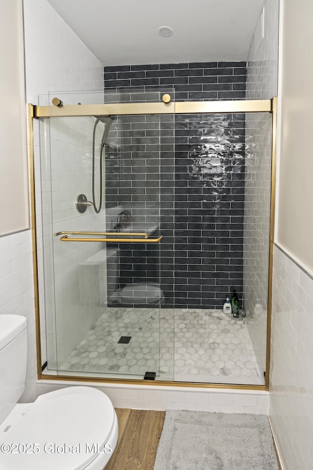 214 Vosenkill Rd, Athens, NY 12015 - full bath featuring wood finished floors, toilet, a stall shower, and tile walls